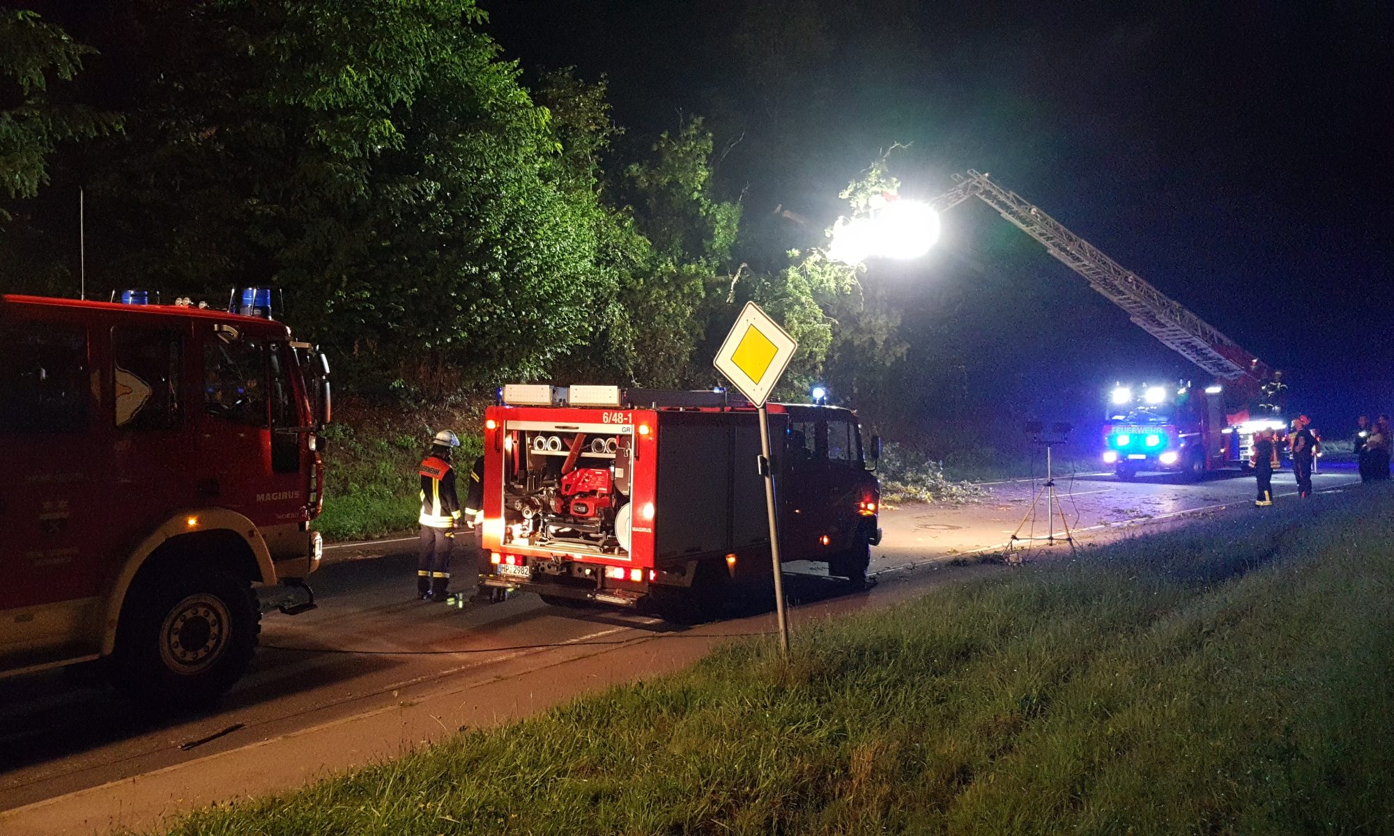 Einsatz 03.08.2024 - Baum auf Straße