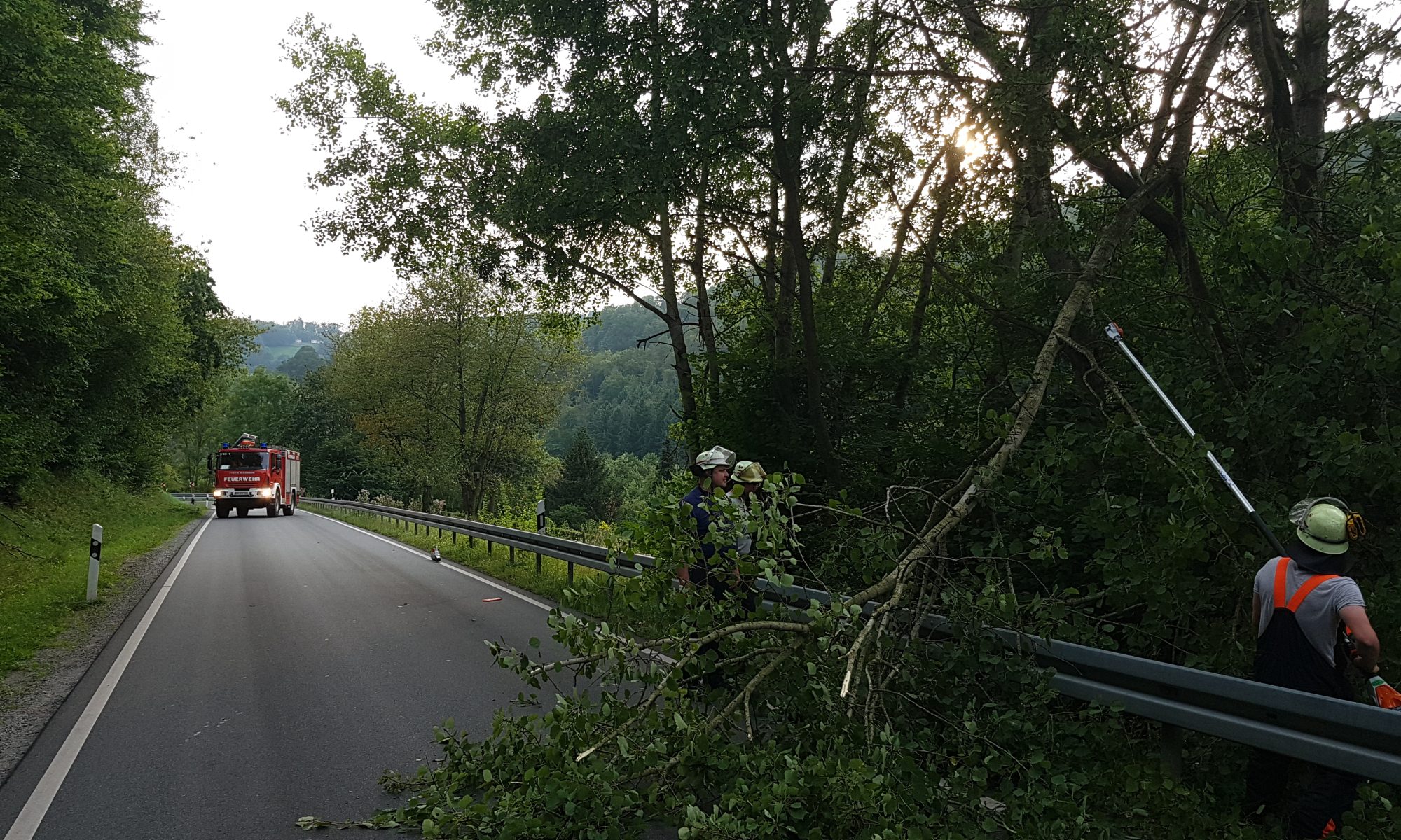 Einsatz: Baum auf Straße 30.08.2024 - Beseitigung des abgeknickten Astes mittels Hochentaster
