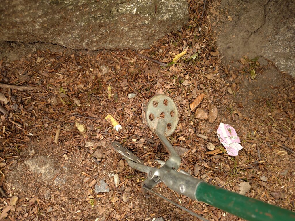 Zigarettenkippe auf dem Waldboden