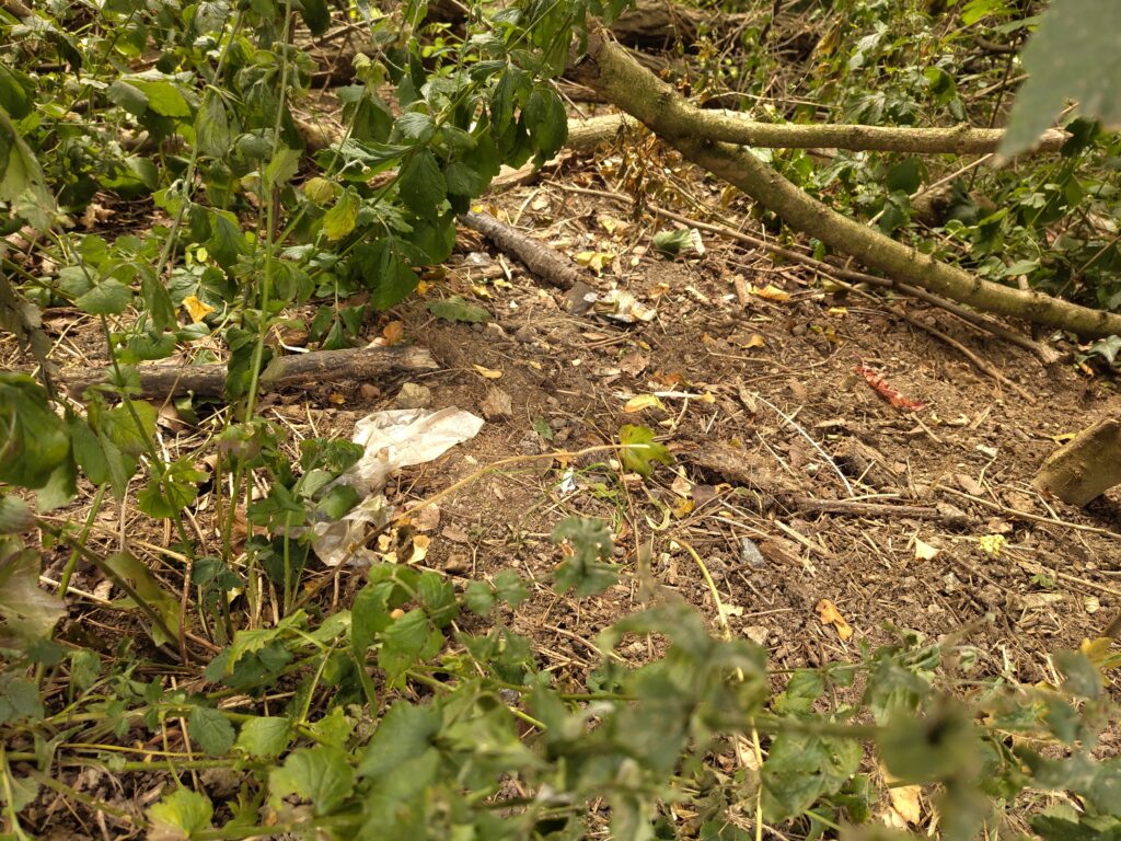 Müll im Wald