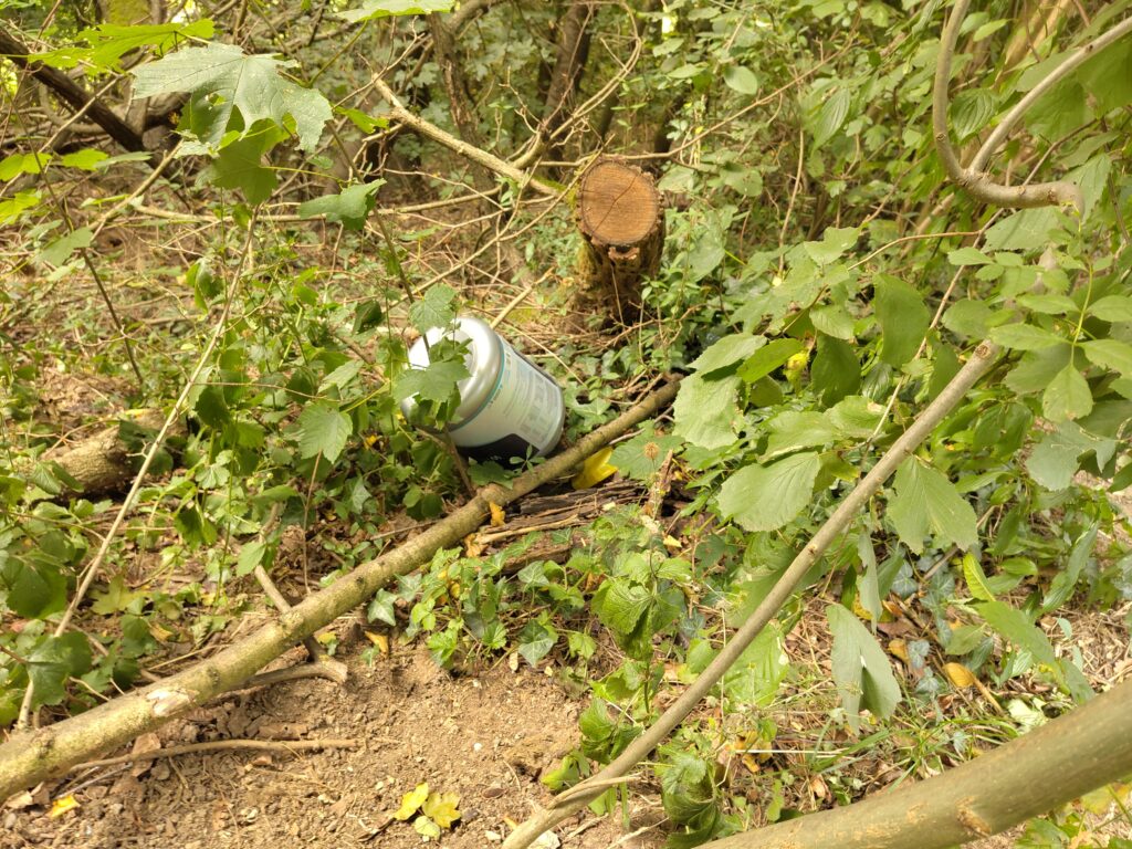 Hausmüll in der Natur entsorgt
