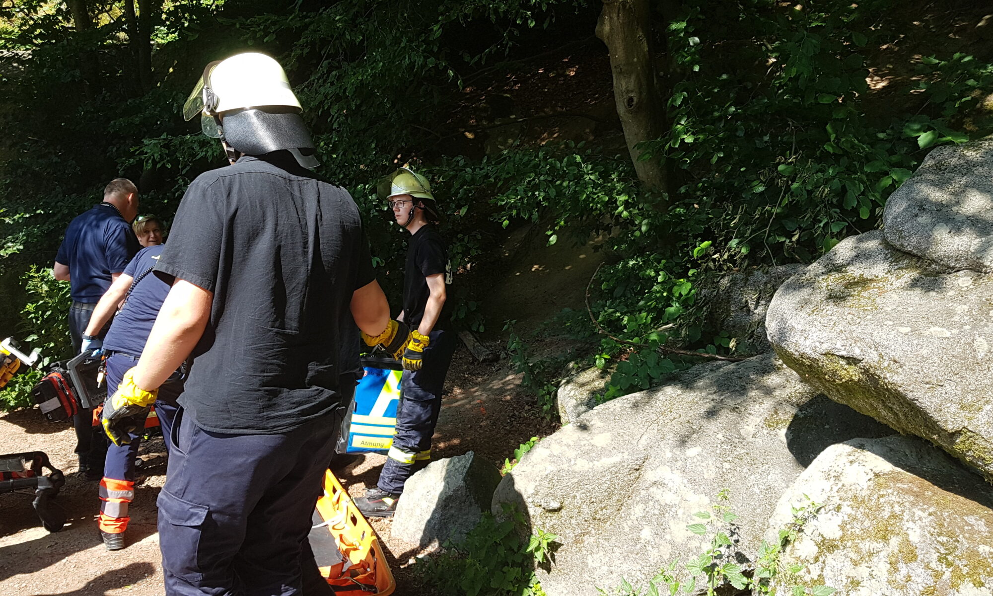 Einsatz Felsenmeer RP3 19.06.2025